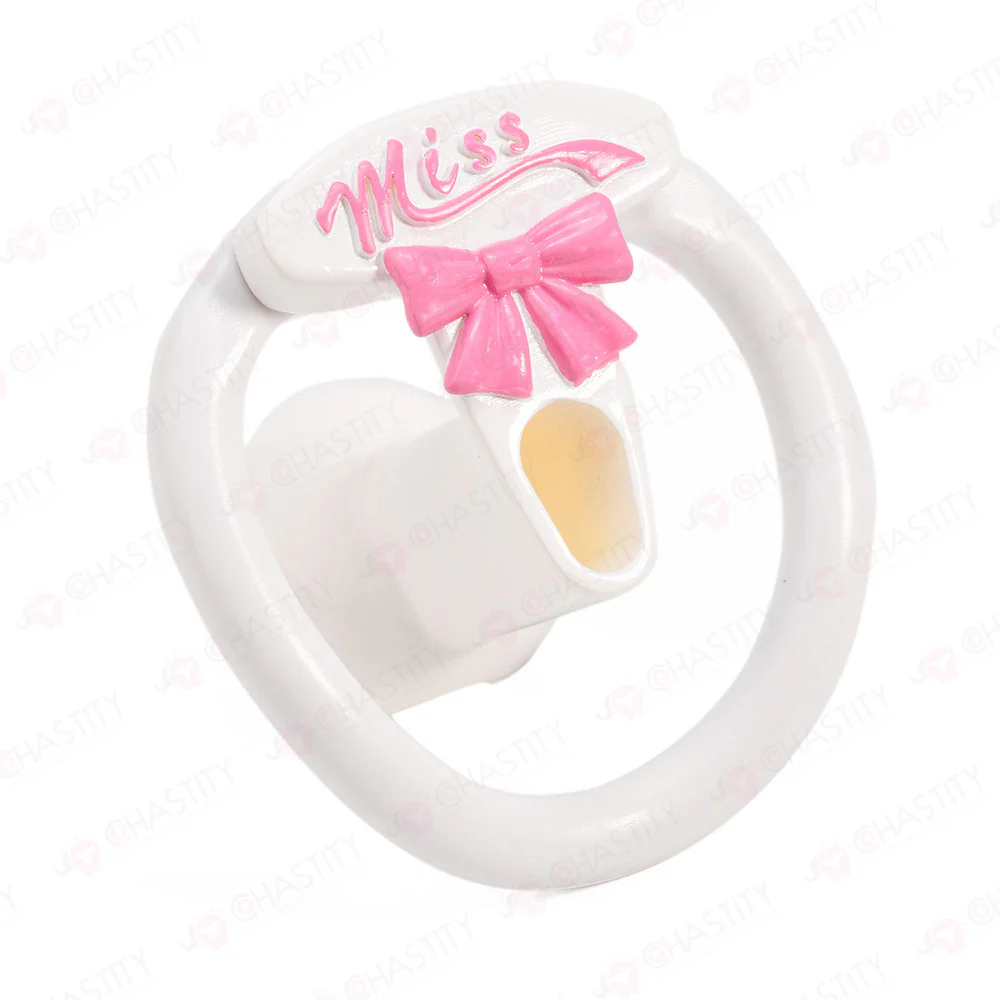 Sissy Miss Cage For Male Chastity Party - Image 3