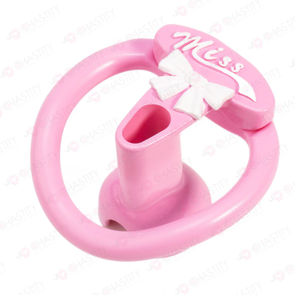 Sissy Miss Cage For Male Chastity Party - Image 9