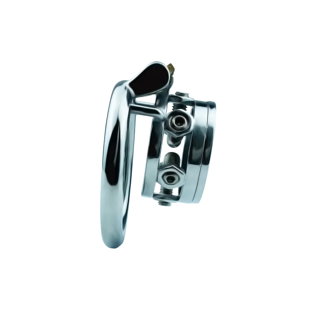 Slave Chastity Cage - Image 2