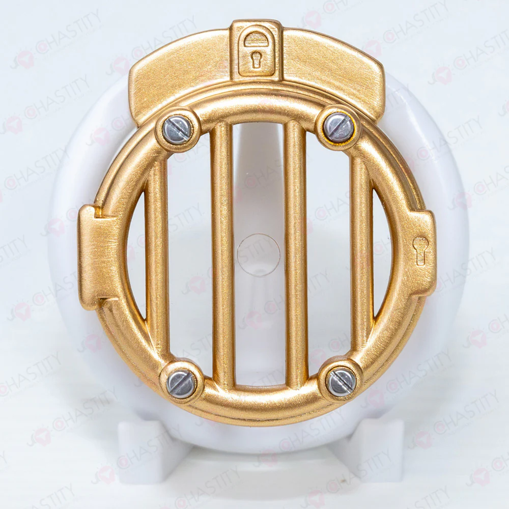 Sperm Bank Vault Forced Chastity Cage - Image 2