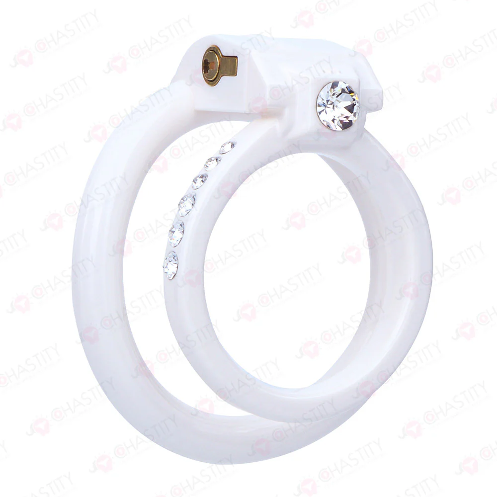 The Eternal Covenant Diamond Chastity Rings - Image 7