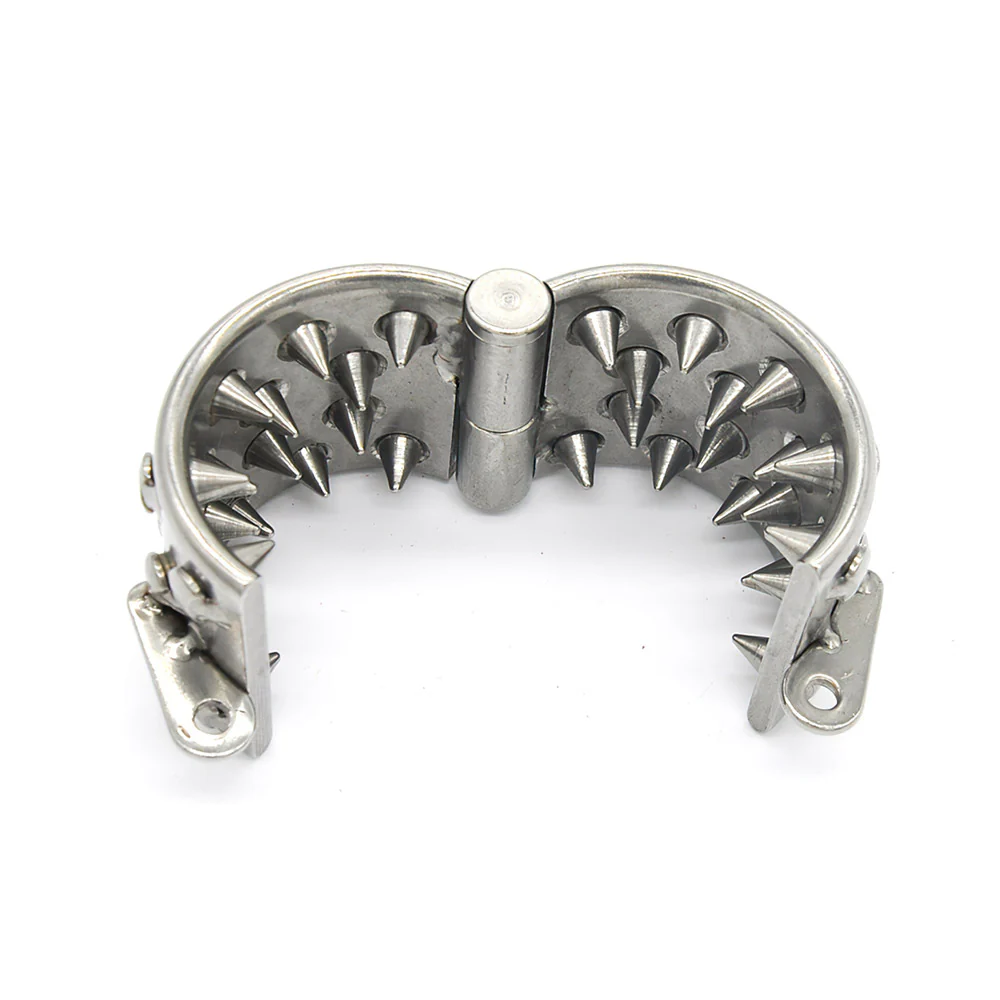 The Kali's Teeth - Image 6