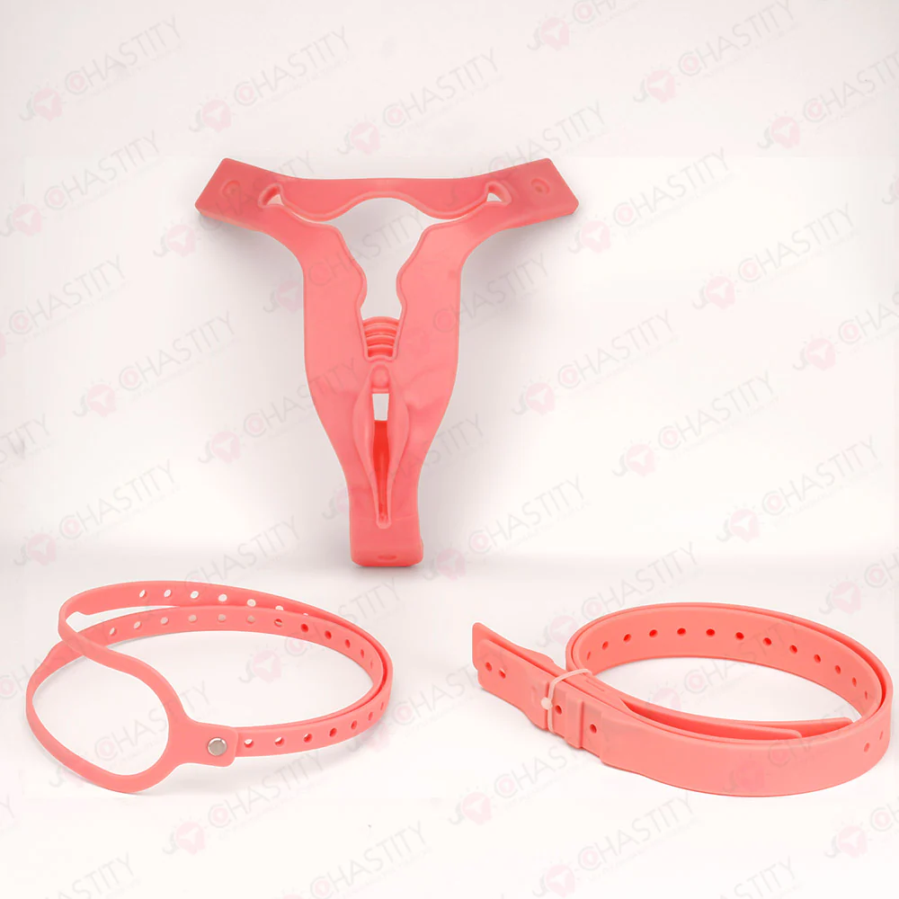 Transexual Cheap Chastity Belt - Image 10