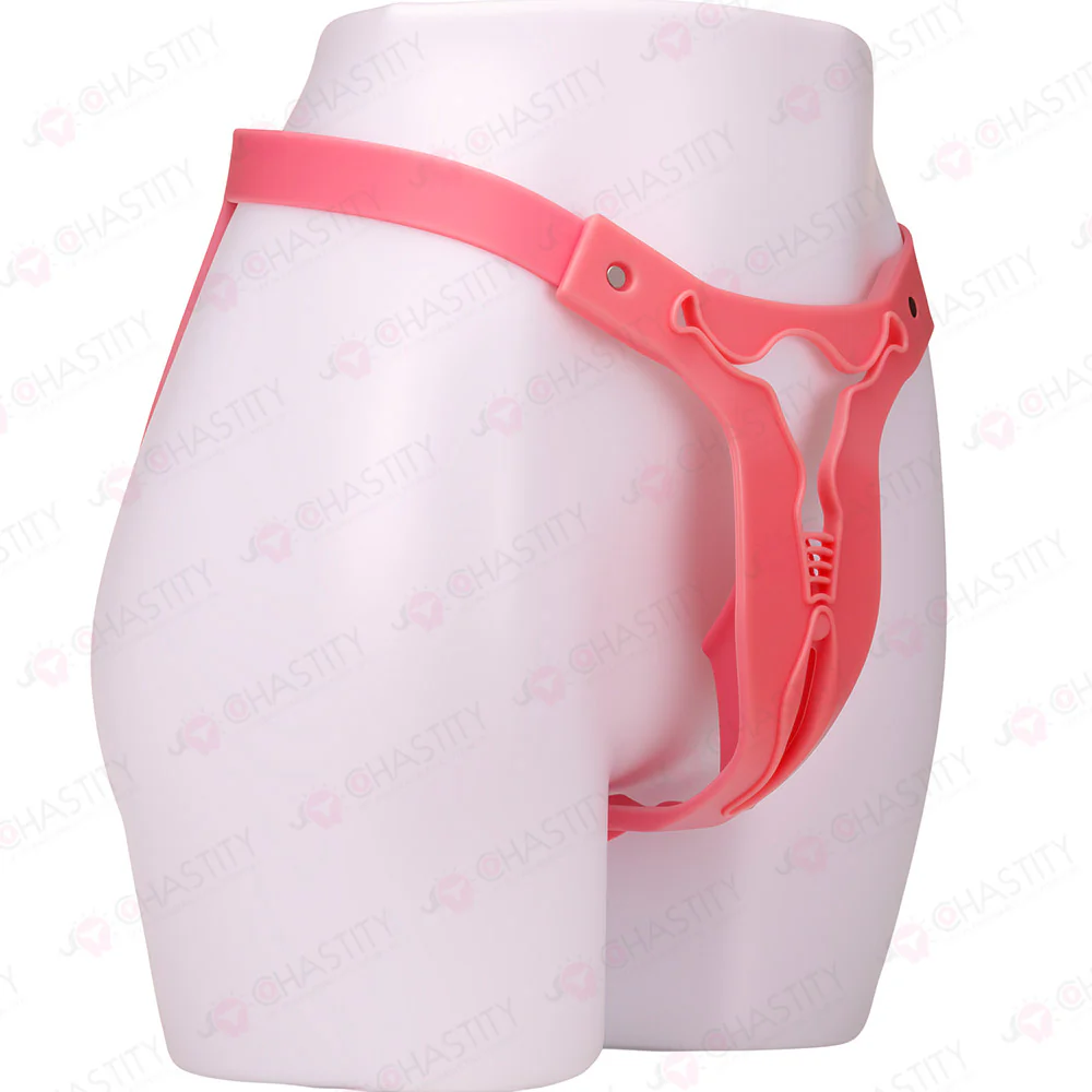 Transexual Cheap Chastity Belt - Image 2
