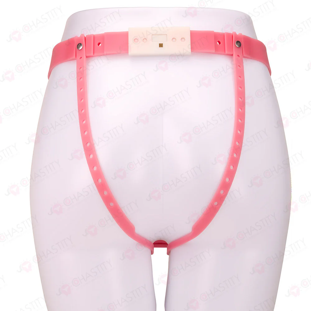 Transexual Cheap Chastity Belt - Image 3