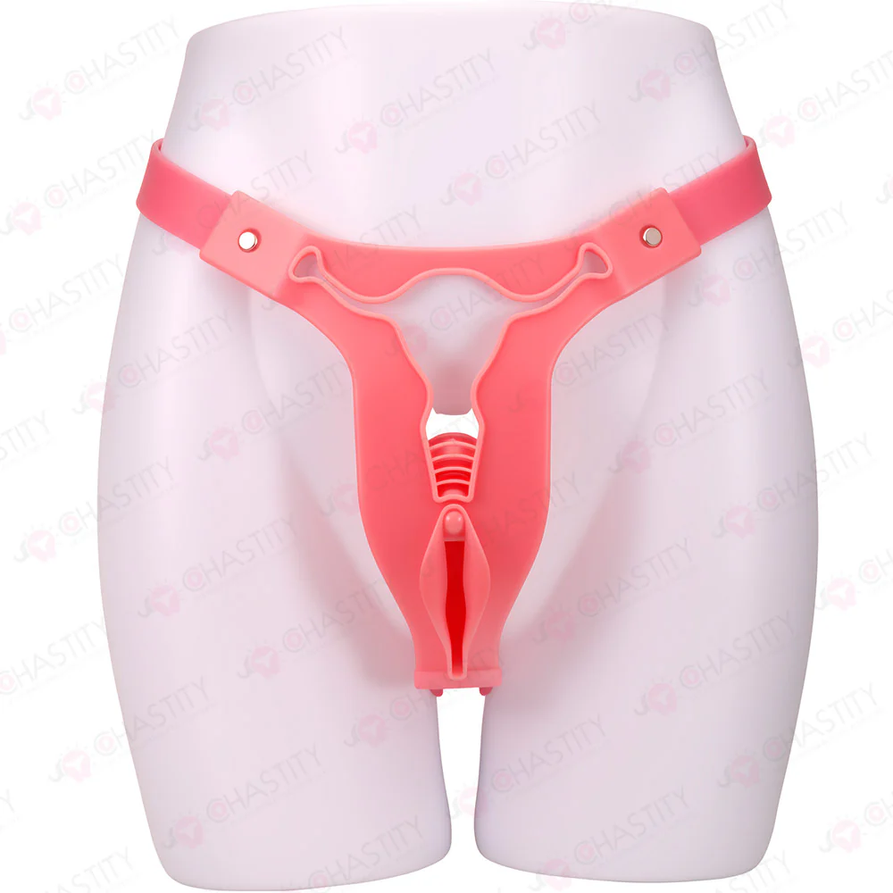 Transexual Cheap Chastity Belt - Image 4