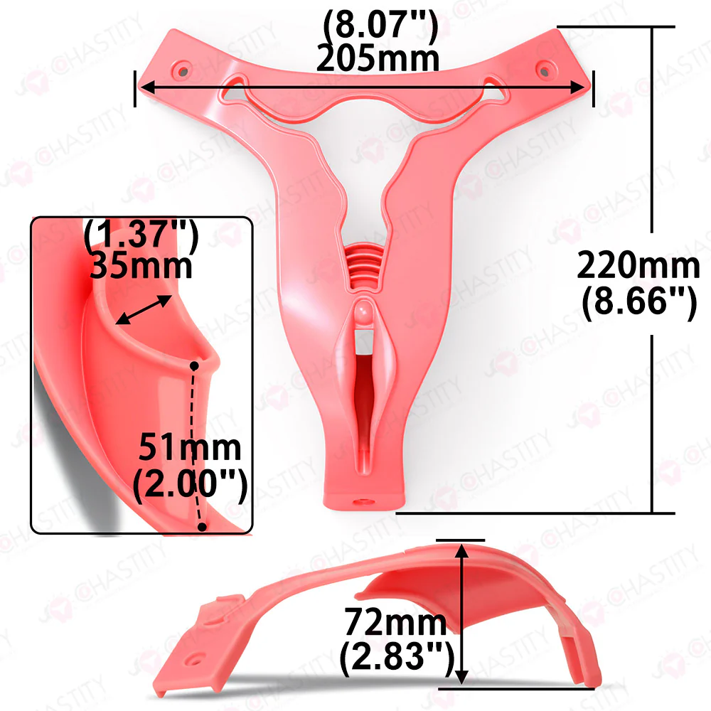 Transexual Cheap Chastity Belt - Image 5